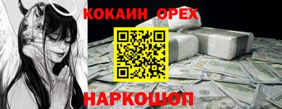 a pvp Камышлов
