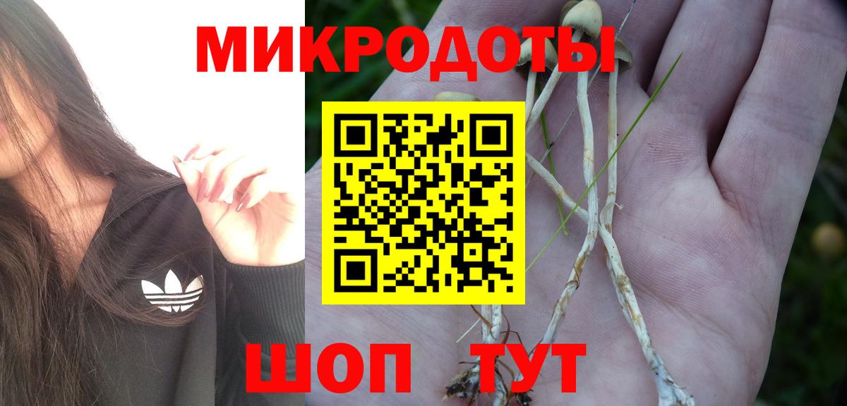 Лангепас  Псилоцибиновые грибы Psilocybine cubensis  Вход с VPN 